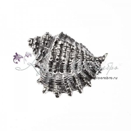 Брошь серебряная Ракушка