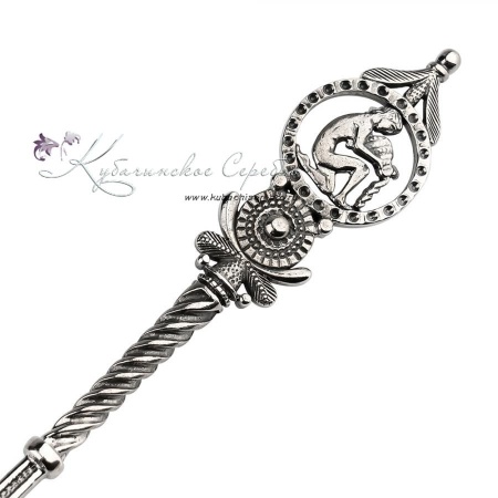 Серебряная чайная ложка Водолей