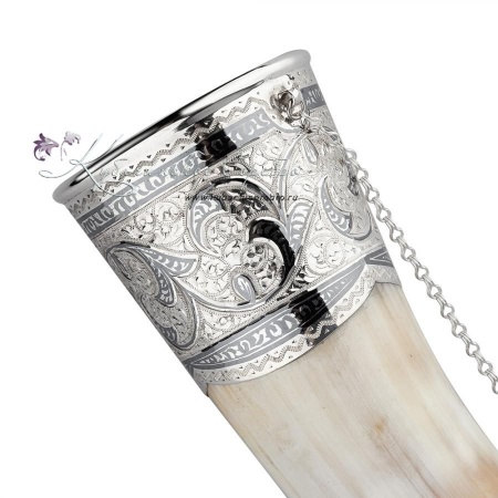 Рог быка серебряный